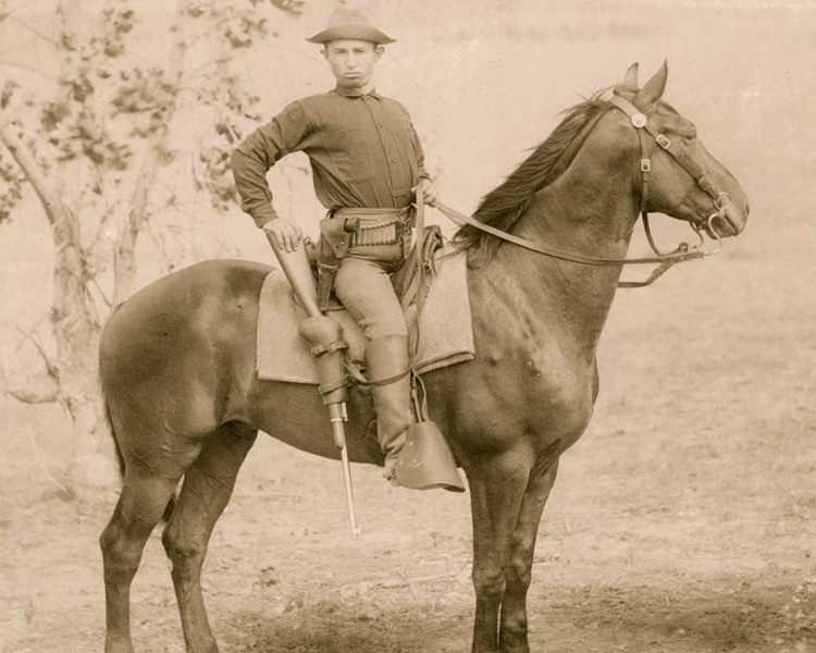 Picture of THE CAVALIER