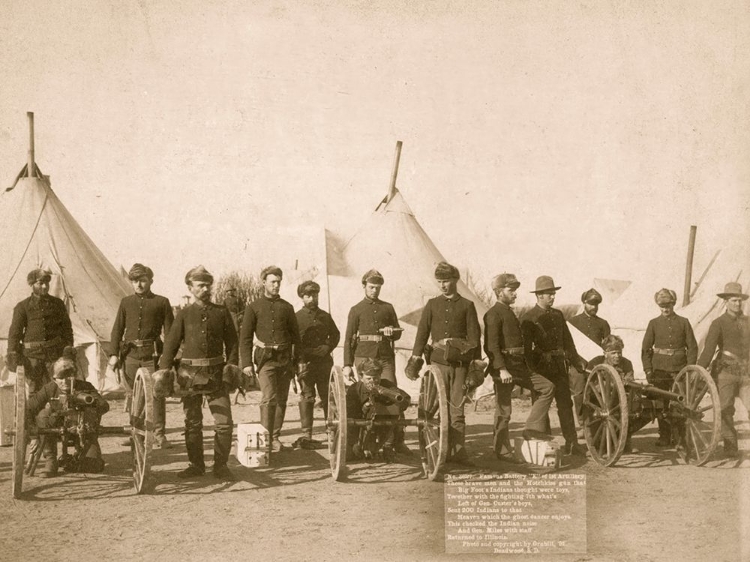 Picture of VICTORIOUS BLUECOATS &AMP; THEIR ARTILLERY