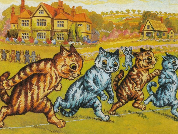 Picture of CAT SPORTS DAY