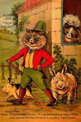 Picture of CATS OF MANY LANDS 1914 - IRISH CATS
