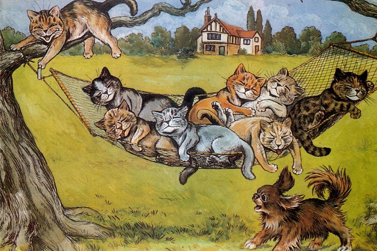 Picture of POSTCARD, CAT NAP 1904