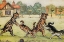 Picture of POSTCARD, THE WHEELBARROW RACE 1904