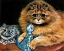 Picture of WHICH DO I LOVE BEST