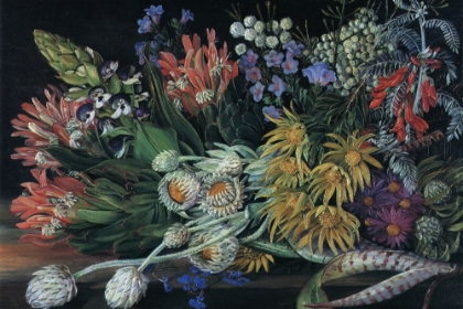 Picture of A MEDLEY OF FLOWERS FROM TABLE MOUNTAIN, SOUTH AFRICA