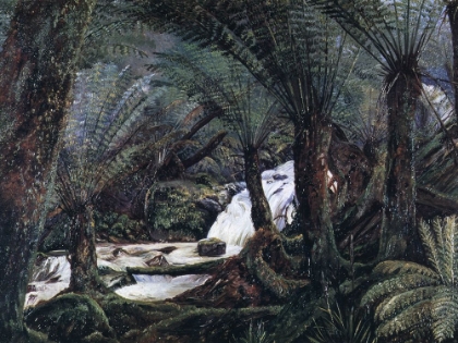 Picture of A NATURAL FERNERY IN VICTORIA