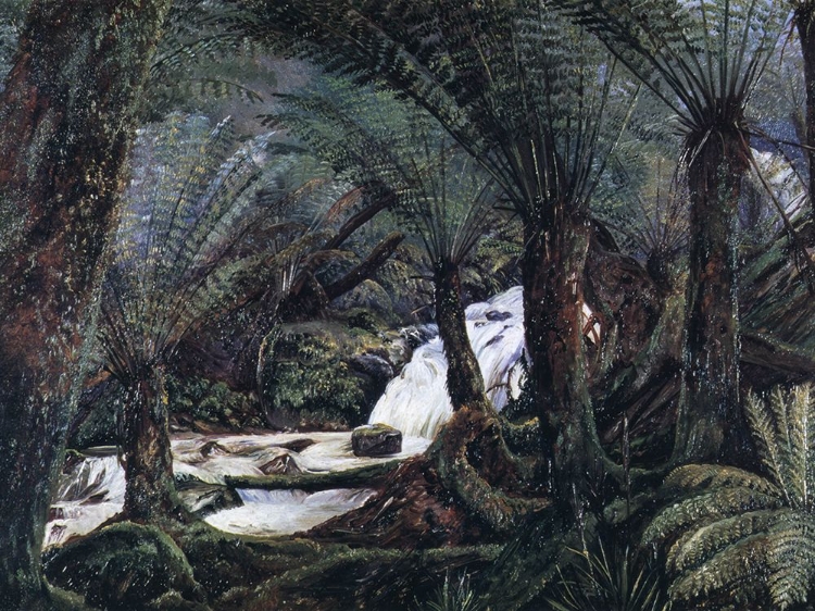 Picture of A NATURAL FERNERY IN VICTORIA