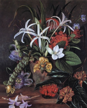 Picture of CULTIVATED FLOWERS