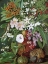 Picture of FLOWERS FROM THE SEYCHELLES