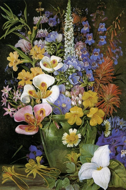 Picture of GROUP OF CALIFORNIAN FLOWERS
