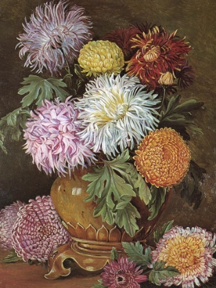 Picture of JAPANESE CHRYSANTHEMUMS