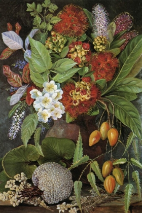 Picture of NEW ZEALAND FLOWERS AND FRUIT