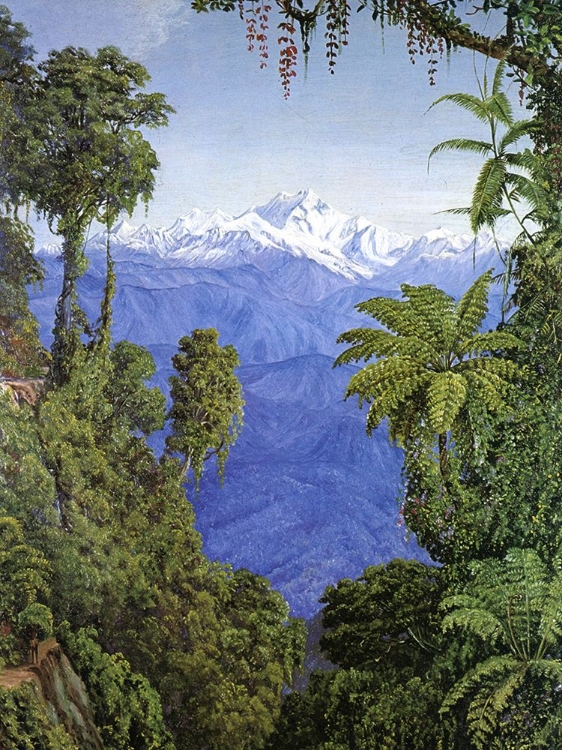 Picture of VIEW OF MOUNT KINCHINJUNGA, INDIA