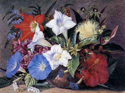 Picture of WILD AND CULTIVATED FLOWERS FROM SOUTH AFRICA