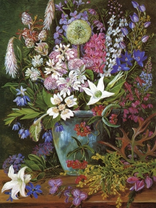 Picture of WILD FLOWERS OF ALBANY, WEST AUSTRALIA