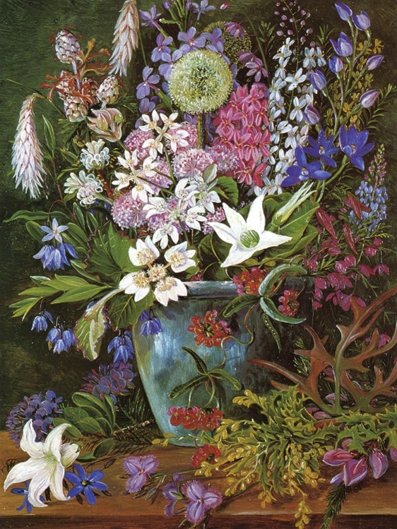 Picture of WILD FLOWERS OF ALBANY, WEST AUSTRALIA