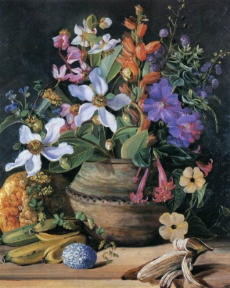 Picture of WILD MEADOW FLOWERS OF BRAZIL