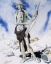 Picture of BLOWN UP, MAD 1917
