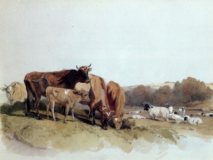 Picture of VICTORIA COWS, GUERNSEY 1846