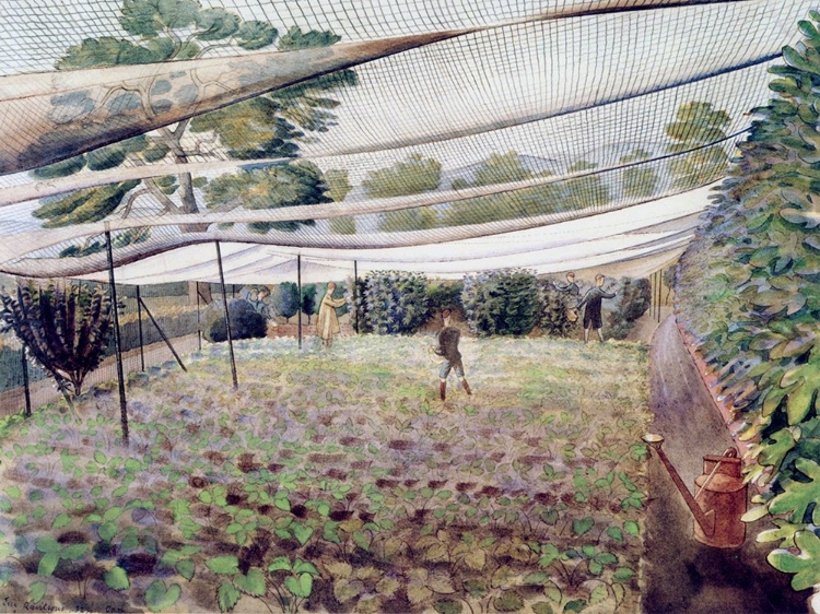 Picture of STRAWBERRY BED 1932