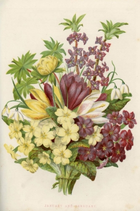 Picture of 1858 VOL. 14 - JAN FEB FLOWERS