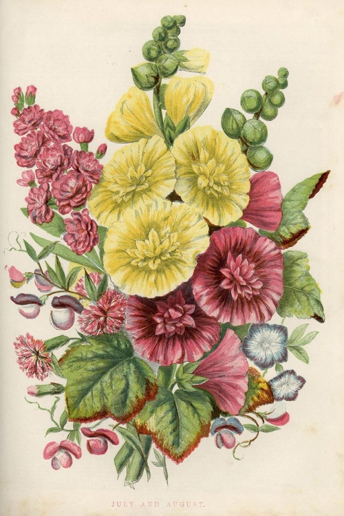 Picture of 1858 VOL. 14 - JUL AUG FLOWERS