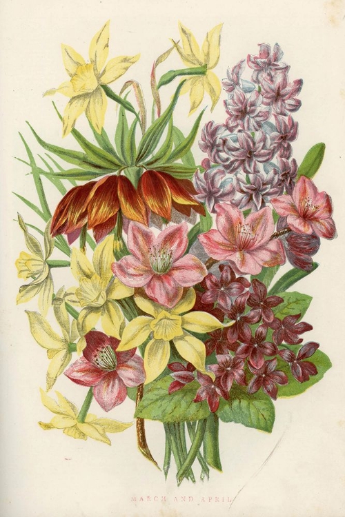 Picture of 1858 VOL. 14 - MAR APR FLOWERS