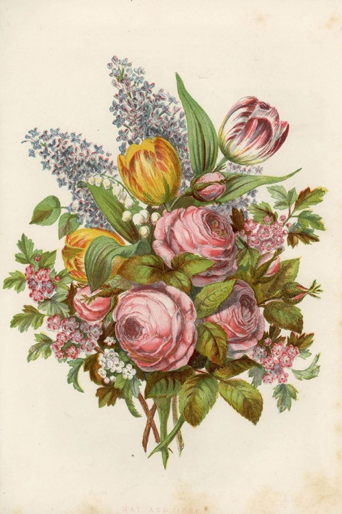 Picture of 1858 VOL. 14 - MAY JUNE FLOWERS