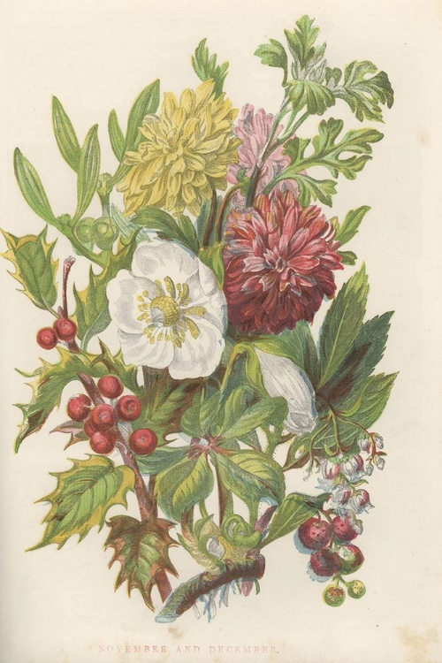 Picture of 1858 VOL. 14 - NOV DEC FLOWERS