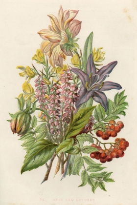 Picture of 1858 VOL. 14 - SEPT OCT FLOWERS