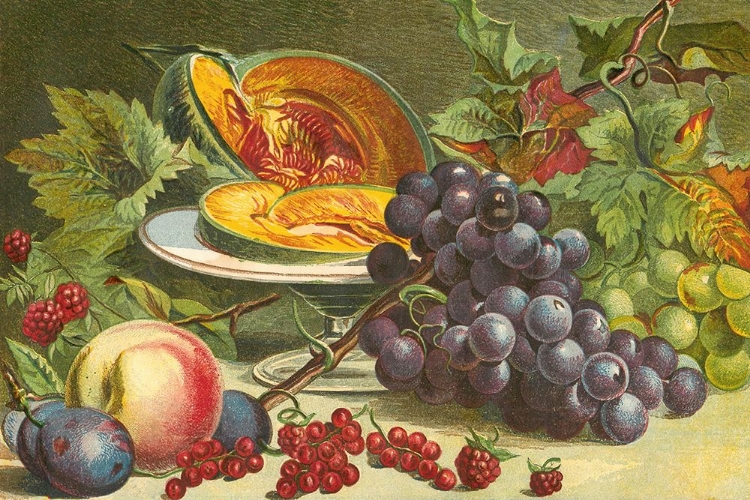 Picture of 1861 VOL. 17 - JULY AND AUG FRUIT