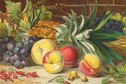 Picture of 1861 VOL. 17 - SEPT AND OCT FRUIT