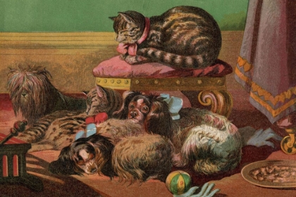 Picture of 1862 VOL. 18 - COSY CATS AND DOGS