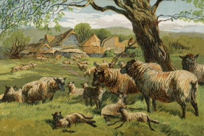 Picture of 1862 VOL. 18 - SPRING LAMBS