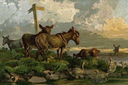 Picture of 1862 VOL. 18 - SUMMER DONKEYS
