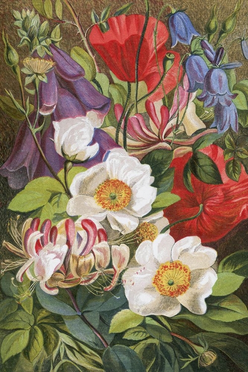 Picture of 1863 VOL. 19 - HONEYSUCKLE, FOXGLOVE AND FLOWERS