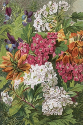 Picture of 1863 VOL. 19 - SPRING FLOWERS