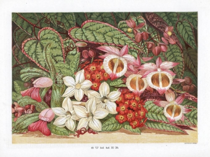 Picture of 1866 VOL. 22 - SUMMER FLOWERS
