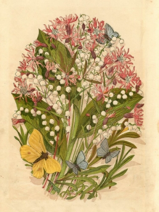 Picture of 1867 VOL. 23 - BUTTERFLIES AND FLOWERS