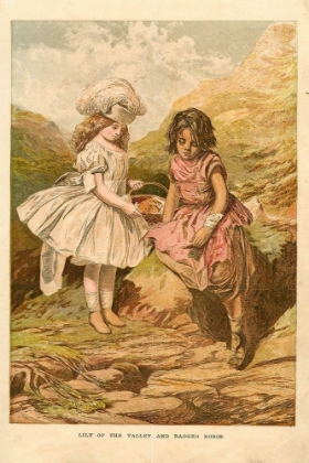 Picture of 1867 VOL. 23 - LILY OF THE VALLEY