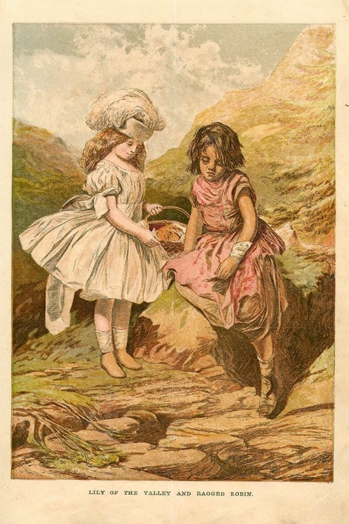 Picture of 1867 VOL. 23 - LILY OF THE VALLEY