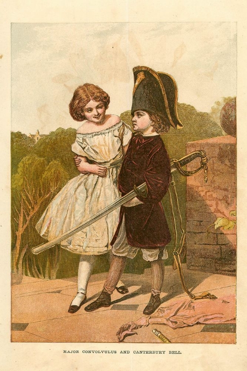 Picture of 1867 VOL. 23 - MAJOR CONVOLVULUS