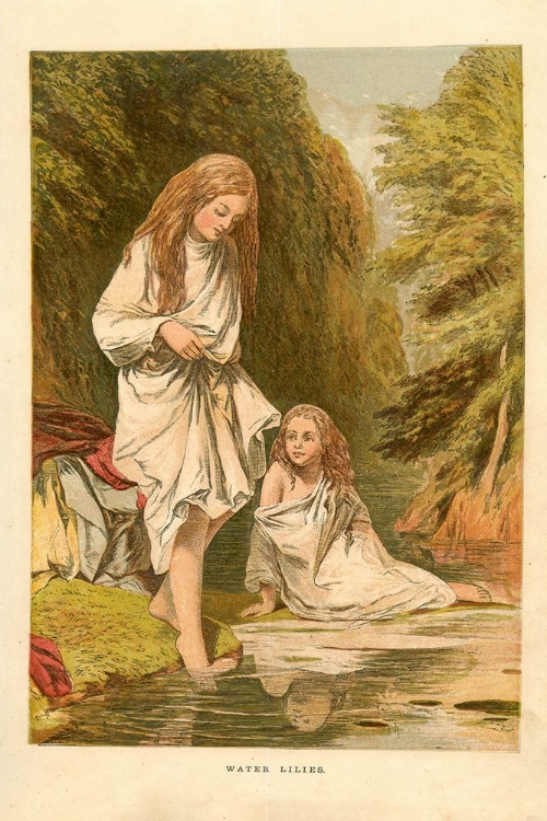 Picture of 1867 VOL. 23 - WATER-LILIES BATHERS