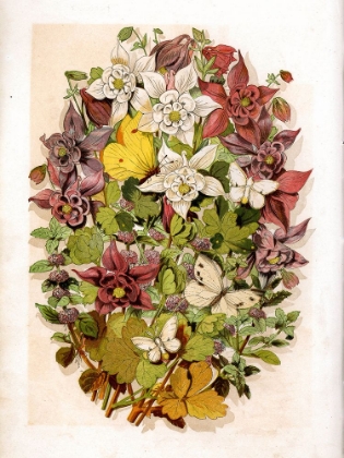 Picture of 1868 VOL. 24 - FLOWERS AND BUTTERFLIES
