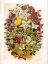 Picture of 1868 VOL. 24 - FLOWERS AND BUTTERFLIES