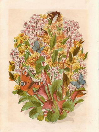 Picture of 1868 VOL. 24 - FLOWERS, BUTTERFLIES AND BEE