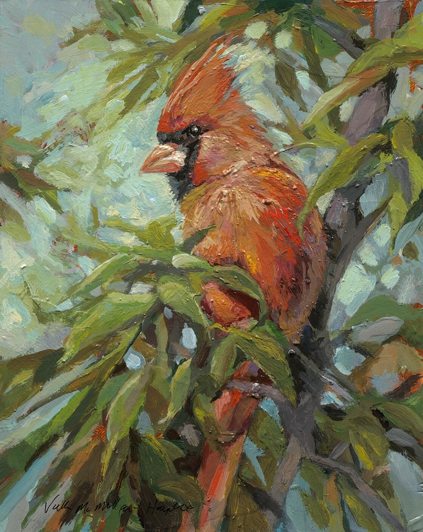 Picture of Red Bird