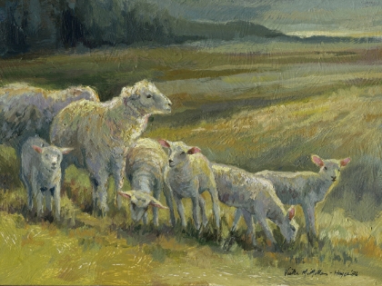 Picture of Family Of Sheep
