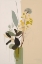 Picture of ABSTRACT BOTANICAL 16