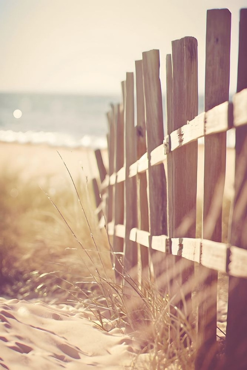 Picture of BEACH FENCE