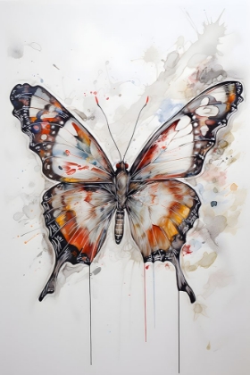 Picture of BUTTERFLY SPLASH 1